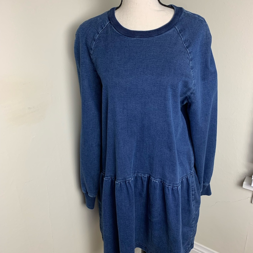 Zara Long Sleeve Denim Dress (L)